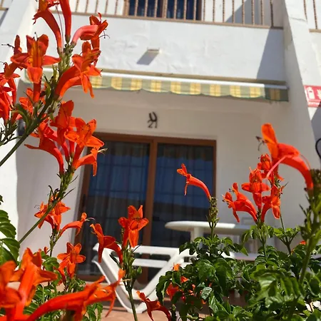 Butterfly House Vibbecanarias *